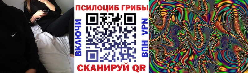 купить наркотики сайты  Новый Уренгой  Псилоцибиновые грибы мицелий 
